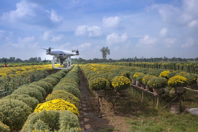 dron iznad poljoprivrednog zemljista